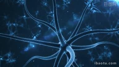 带有电脉冲的神经元真实神经元突触网络动画